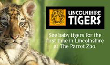 activities-tigers